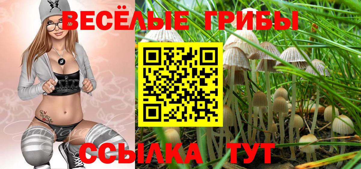 Грязи  что такое   Вход с VPN  Галлюциногенные грибы GOLDEN TEACHER 