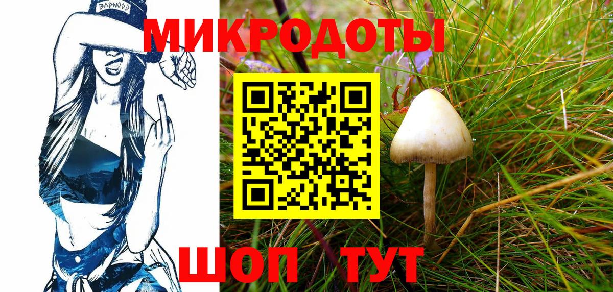 Галлюциногенные грибы MAGIC MUSHROOMS Грязи